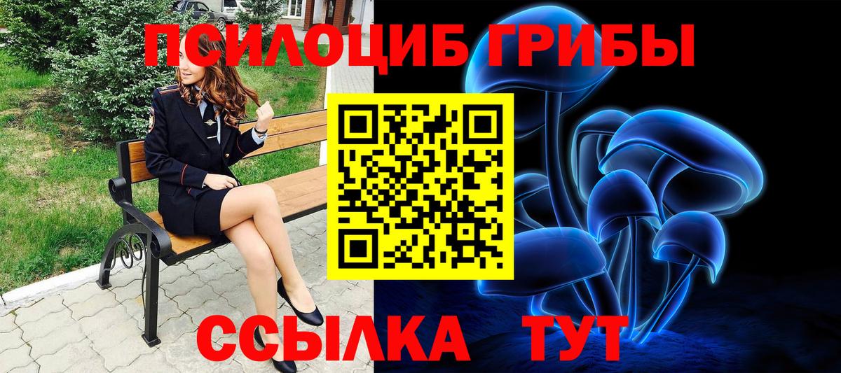 где купить наркоту  Вход с VPN  Алексин  Галлюциногенные грибы Magic Shrooms 